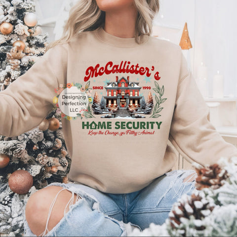 McAllister home security Christmas(18)